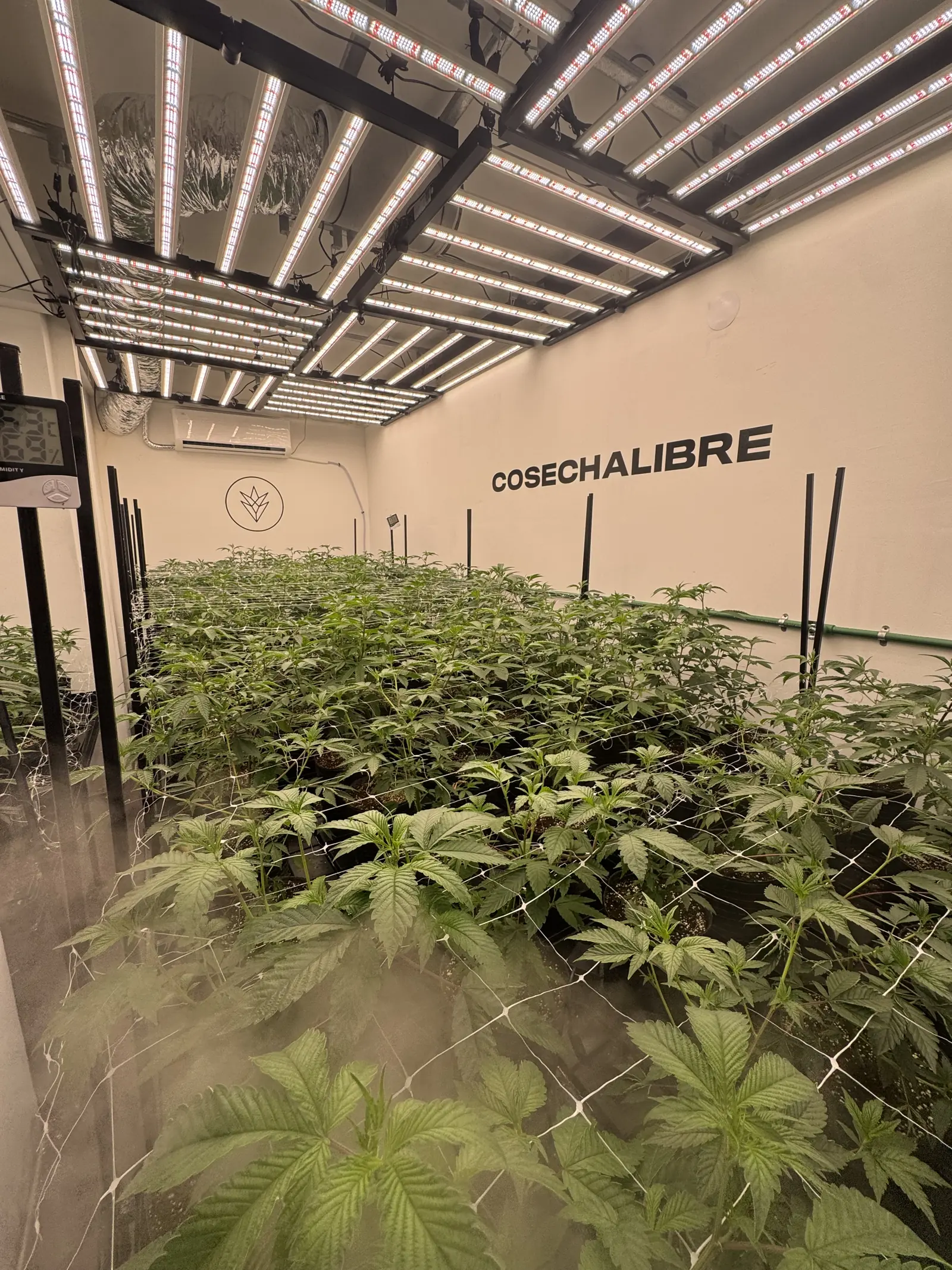 Bladerdak · full spectrum led